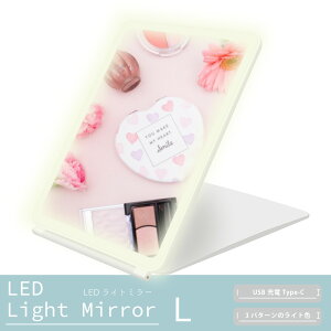 LEDCgt  Cg~[ LTCY USB[d 3F / RpNg X^h~[ f~[ D ϋ ɂ p  킢  