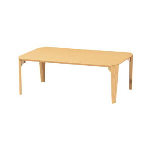 �O�v KOEKI UTILITY ���[�e�[�u�� �܋r �i�`������ 900×600×320mm LTTK9060NA�y���������z
