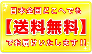 送料無料