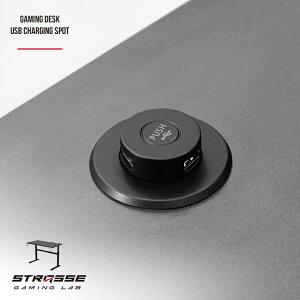 STRASSE GAMING LAB USB�[�d�X�|�b�g �f�X�N�I�v�V���� USB�P�[�u���������� [�Q�[�~���O�f�X�N �X�g���b�Z �Q�[�~���O���{]