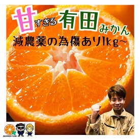 有田みかん 訳あり 最大5070円OFF 数量限定 【減農薬】 和歌山 みかん箱 美味しいみかん 甘い みかん箱買い おいしい 甘いみかん 訳ありみかん 濃い みかん 産地直送 蜜柑 送料 1kg 2kg 3kg 5kg 5キロ 割引 有田のみかん おすすめ 人気