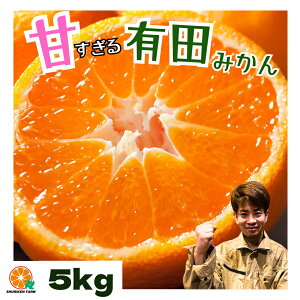 yubNtCf[ōX10OFFzLc݂ 󂠂 ő1000~OFF ʌ y_za̎R Â  Z ݂ Yn BO   1kg 2kg 3kg 5kg FBƑƕ