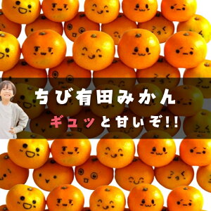 Lc݂ ʌ y_z@ a̎R Â  Z ݂ Yn 󂠂   1kg 2kg 3kg 5kg FBƑƕ q lCNo1 I[vLy[    ss