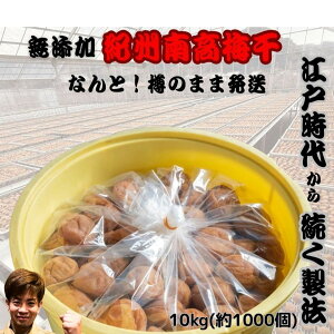 ʌIy9/3܂ł̔lZ[Iő4000~OFFz IB썂~ ʌ yYza̎R ~ ~ _ς ]ˎ Z Yn 󂠂  500g 1kg 2kg 10kg e I[vL
