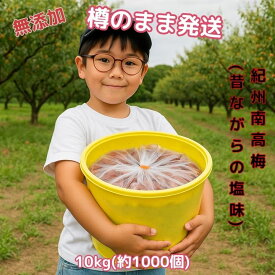【8/17まで最大1000円引】 紀州南高梅 数量限定 【無添加】和歌山 梅干 梅 酸っぱい 江戸時代 濃い 産地直送 訳あり 送料 10kg 大容量 オープンキャンペーン 人気 おすすめ うめ