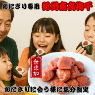 【楽天スーパーSALE】 梅干し 和歌山 無添加 酸っぱい 無添加梅干し 美味しい梅干し 南高梅梅干し 紀州梅…