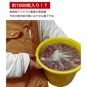 XɑSi10OFFN[|y9/3܂ő啝IȂ莟摦IIzIB썂~ ʌ yYza̎R ~ ~ _ς ]ˎ Z Yn 󂠂  500g 1kg 2kg 10kg e I[