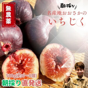 ōy_zY Hg  C`WN ԉ  1kg 500g Â x e I[vLy[ lC  ~ ~ i Z[    Yn ͂
