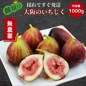 ōy_zY Hg  C`WN ԉ  1kg 500g Â x e I[vLy[ lC  ~ ~ i Z[    Yn ͂