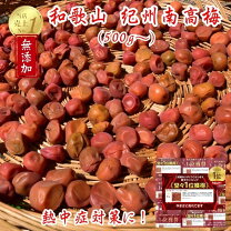 楽天市場】梅 訳あり 10kgの通販