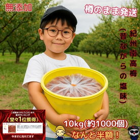 紀州南高梅 数量限定 【 無添加 】 和歌山 梅干し 梅干 梅 うめ 10kg 白干し 酸っぱい 塩分20％ 昔ながらの 産地直送 訳あり 大容量 ご飯のお供 おにぎりの具 南高梅 しらぼし 訳あり梅干し 訳あり食材 無添加梅干し 国産梅干し 梅白干し 梅干し訳あり 熱中症 夏バテ 対策