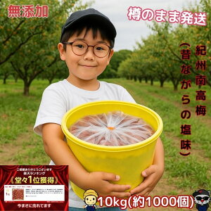 XɑSi10OFFN[|y10/27܂łȂ2000~OFFIIԌIzIB썂~ ʌ yYza̎R ~ ~ _ς ]ˎ Z Yn 󂠂  10kg e I[vL