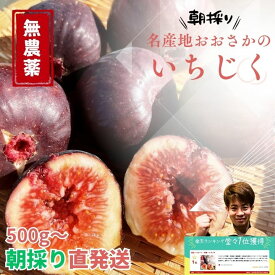 ランキング受賞！ 最高級【無農薬】大阪産 羽曳野 いちじく イチジク 無花果 おおさか 1kg 500g 甘い 高糖度 大容量 オープンキャンペーン 人気 おすすめ 梅 梅干し 格安 セール 割引 激安 即発送 産地直送 はびきの 贈り物 ギフト お中元 高級