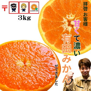 yubNtCf[ōX10OFFzLc݂ ʌ y_za̎R Â  Z ݂ Yn 󂠂   1kg 2kg 3kg 5kg ɑ RǑ   q lC 