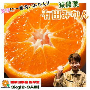 5040~2680~ILc݂ ɑ RǑ ʌ y_za̎R Â  Z ݂ Yn 󂠂   3kg FBƑƕ q lC ߁@q Ƒ a
