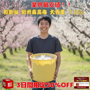 3ԌI2500~OFFN[|y10500~7300~zyYEe10kgzIB썂~ ʌ a̎R ~ ~ _ς Ɩp Yn 󂠂  e Ly[ lC   ~ 