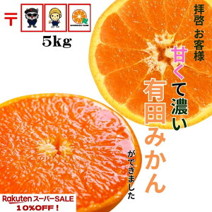 yyVX[p[Z[z2980~2680~ ILc݂ ʌ y_za̎R Â  Z ݂ Yn 󂠂   5kg ɑ RǑ   q lC 