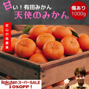 yyVX[p[Z[z2000~1400~ Lc݂ ʌ y_za̎R Â  Z ݂ Yn 󂠂   1kg ɑ RǑ  q lC ߁@q Ƒ 