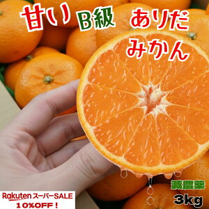 yyVX[p[Z[z3700~2500~ ÂILc݂ ɑ ʌ y_za̎R Â  Z ݂ Yn 󂠂   3kg ɑ RǑ  q lC 