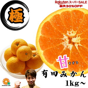 yyVX[p[Z[z20 Lc݂ ʌ y_z@ a̎R Â  Z ݂ Yn 󂠂   1kg 2kg 3kg 5kg FBƑƕ q lCNo1 lC 