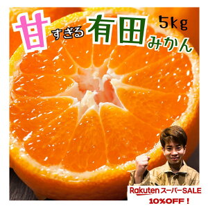 yyVX[p[Z[z4800~2980~ 󂠂 Lc݂ ʌ y_za̎R Â  Z ݂ Yn 󂠂   5kg ɑ RǑ  q lC ߁@q