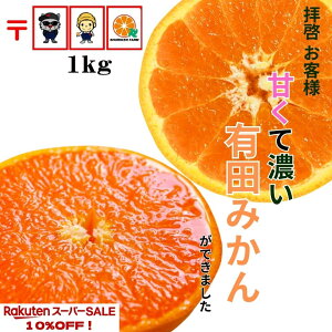 yyVX[p[Z[z2280~1480~ILc݂ ɑ RǑ  ʌ y_za̎R Â  Z ݂ Yn 󂠂   2kg  q lC 