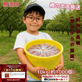 【楽天スーパーセール】9800円⇒7840円 紀州南高梅 数量限定 【無添加】和歌山 梅干 梅 酸っぱい 江戸時代 濃い 産地直送 訳あり 送料 10kg 大容量 キャンペーン 人気 おすすめ うめ 梅 梅干し セール 割引熱中症 在庫処分 激安 割引