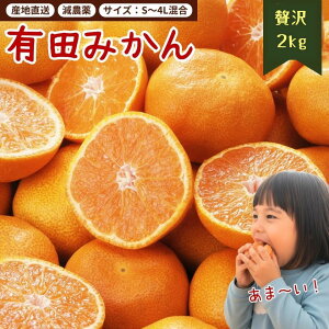 yubNtCf[ōX10OFFz29802280~ Lc݂ 󂠂 ʌ y_za̎R Â  Z ݂ Yn BO   2kg FBƑƕ q l