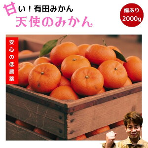 �y�労�Ӎۃ|�C���g20�{�I�z2680�~��2380�~ �L�c�݂��� 2kg ���ʌ��� �y���_��z�a�̎R �u�����h �݂��� 2 �L�� ���� �a�̎R���Y �Y�n���� �������� �󂠂� ������ �Â� �������� �Z�� �ɑ��� ��