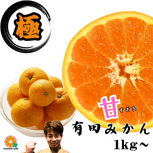 yNX[p[Z[z Lc݂ ʌ y_z@ a̎R Â  Z ݂ Yn 󂠂   1kg 2kg 3kg 5kg FBƑƕ q lCNo1 lC ߁@