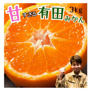 yNX[p[Z[z2980~24800~ 󂠂 Lc݂ ʌ y_za̎R Â  Z ݂ Yn 󂠂   3kg ɑ RǑ  q lC ߁@q