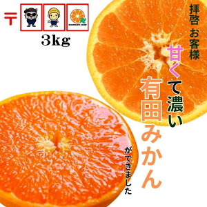 yNX[p[Z[z2980~2480~ILc݂񐔗ʌ y_za̎R Â  Z ݂ Yn 󂠂   3kg ɑ RǑ   q lC 