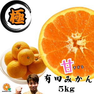 yNX[p[Z[z3980~2980~ILc݂ ʌ y_zɊÁ@ a̎R Â  Z ݂ Yn 󂠂   5kg FBƑƕ q lCNo1 I[v