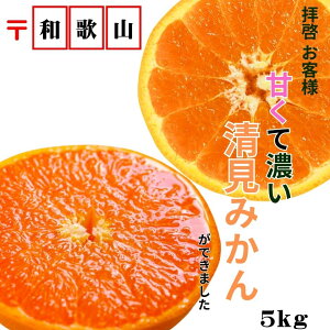 有田みかん みかん」の人気商品一覧 | 安い商品を通販サイトから探す 