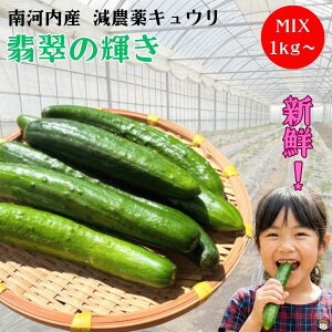 �y �������� �z ���_�� ���イ�� 1kg ��͓��Y �Y�� ���̂� �V�N ��� �L���E�� �ӉZ ���̂� ��� �_�ƒ��� �Y�n���� ������ �{ �������� �ς�ς� �Е� �T���_ ��Ђ� 1�L�� ������ �ƒ�p 