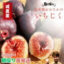 ランキング受賞！ 最高級【減農薬】大阪産 名産 いちじく イチジク 無花果 おおさか 1kg 500g 甘い 高糖度 大容量 オ…