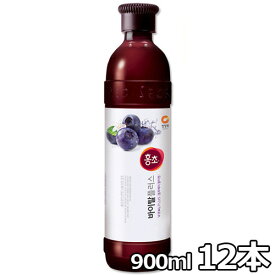 【送料無料】紅酢 ブルーベリー 900ml 12本