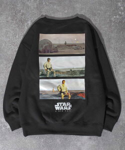 yzy[֕szX^[EEH[Y Gs\[h4 VȂ] Nуg[i[ XEFbg Star Wars: Episode IV A New Hope AR~ f fBYj[ q j̎q ̎q w 