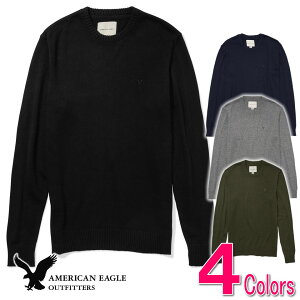 アメリカンイーグル(American Eagle) メンズセーター・ニット・ベスト 