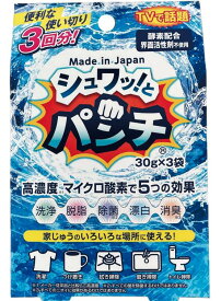 シュワッ！とパンチ 洗浄剤 ジェル カビ 黒ずみ 油汚れ ヌメリ 風呂 水回り 風呂用洗浄剤 洗浄 脱脂 除菌 漂白 消臭 漂白剤