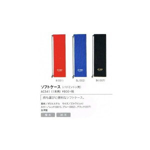 yr[eLINEǉŃN[|GETzlbNX oh~g ANZT[ YONEX \tgP[X AC541