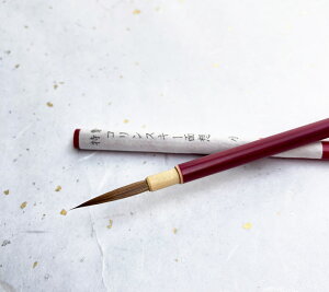 ʑzM/ʑM @RXL[ʑz@@Ԏ@y@zސz