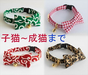 L  qL c[EFC { + Sxg2_Zbg   Z[teBobNt t a nQɂ Rbg yLGݏz