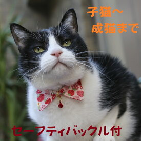【楽天1位】 猫 首輪 襟 エリ 安全 セーフティバックル付 いちご コットン ハゲにくい 猫用首輪 【猫雑貨招福】
