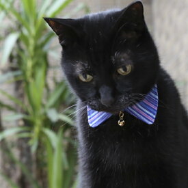 猫 首輪 襟 エリ ブルー 青 安全 セーフティバックル付 コットン ハゲにくい 猫用首輪 希少USAコットン使用 【 猫雑貨招福 】