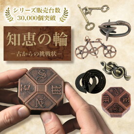 難易度マックス 【外せたら達人！】 知恵の輪 ちえのわ 大人 子供 難易度マックス セット 難しい 高齢者 大きい 6点 セット 難しい 難易度2～10 謎解き ちえのわ おもちゃ 子供 脳トレ 知育