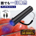 ＼マラソン限定ポイント20倍!!!／目で見て安心 【便利な充電式】 アニサキスライト ブラックライト uvライト 釣り ブ…