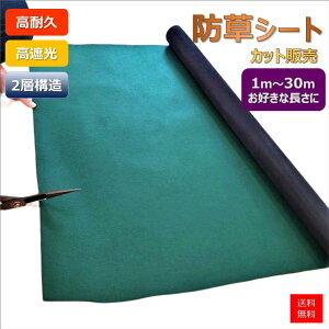 ϋv G΍ Gh~ hV[g V[g GV[g [Jbg̔:1mP~29m܂]