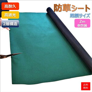 ϋv G΍ Gh~ hV[g V[g GV[g [TCYF2m ]