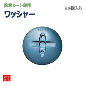 hV[g V[g GV[g V[g  ی^ Œ bV[ [50]